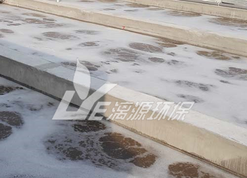广东天本水性涂料废水处理工程项目案例