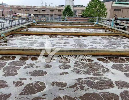 二甲基亚砜废水处理工艺